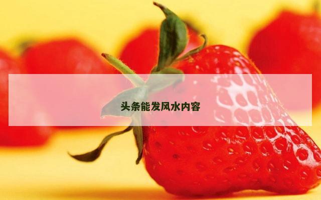 头条能发风水内容