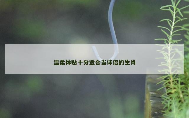 温柔体贴十分适合当伴侣的生肖