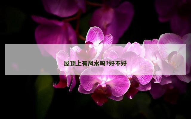 屋顶上有风水吗?好不好
