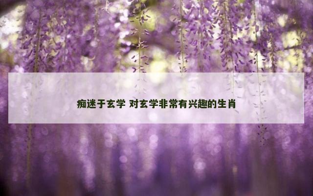 痴迷于玄学 对玄学非常有兴趣的生肖