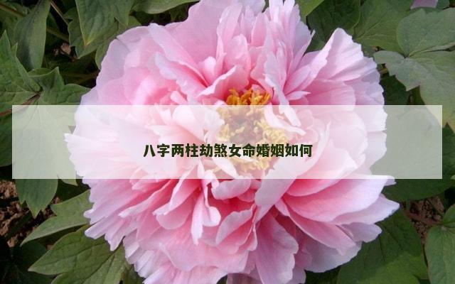 八字两柱劫煞女命婚姻如何