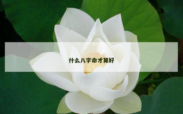 什么八字命才算好