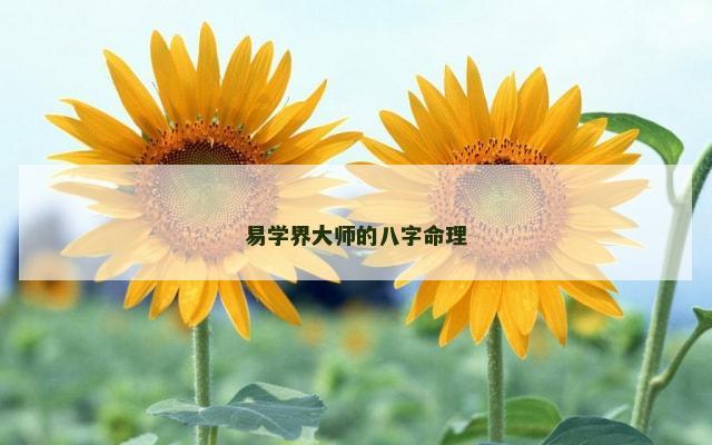 易学界大师的八字命理