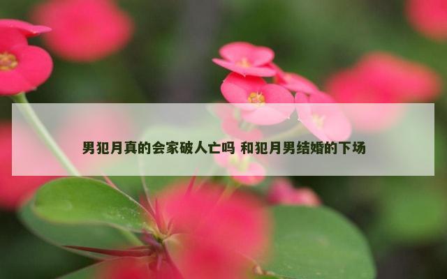 男犯月真的会家破人亡吗 和犯月男结婚的下场