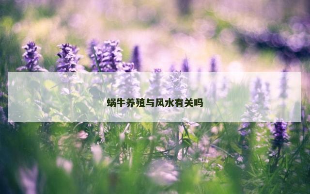 蜗牛养殖与风水有关吗