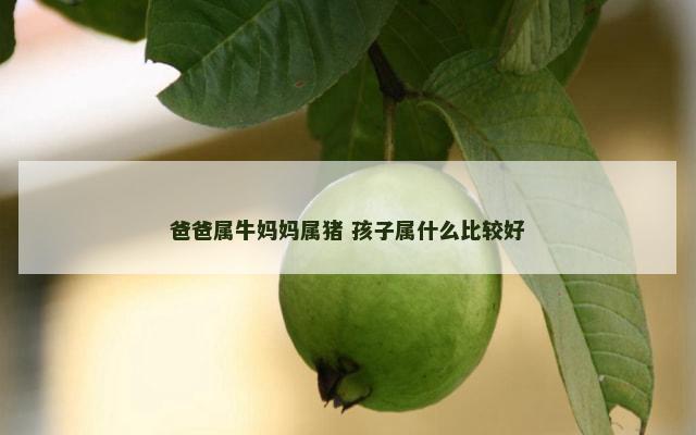 爸爸属牛妈妈属猪 孩子属什么比较好