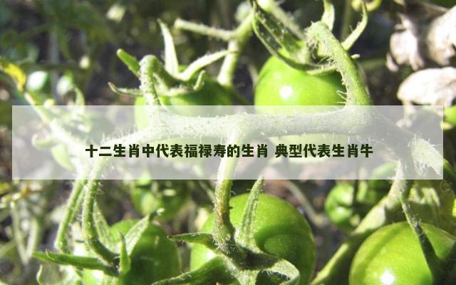 十二生肖中代表福禄寿的生肖 典型代表生肖牛