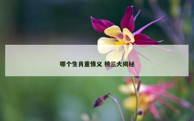 哪个生肖重情义 榜三大揭秘