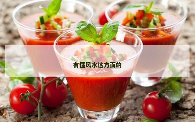 有懂风水这方面的