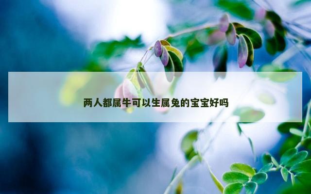 两人都属牛可以生属兔的宝宝好吗