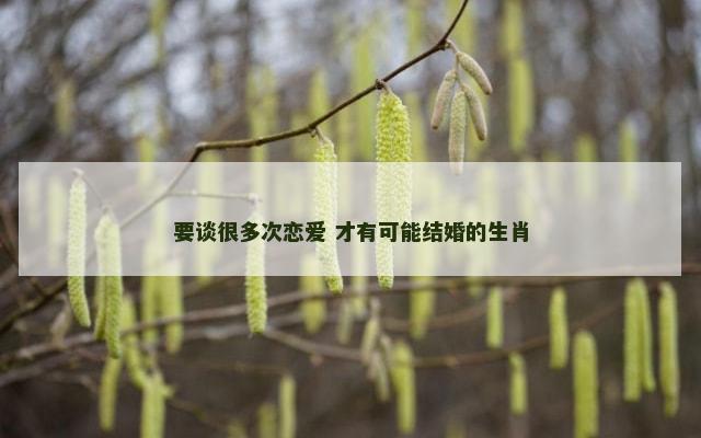要谈很多次恋爱 才有可能结婚的生肖