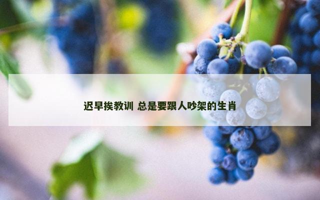 迟早挨教训 总是要跟人吵架的生肖