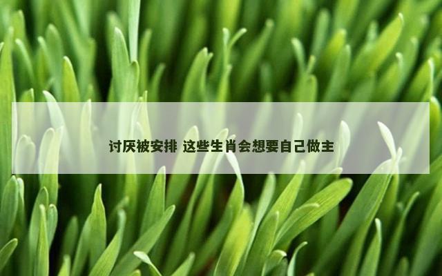 讨厌被安排 这些生肖会想要自己做主