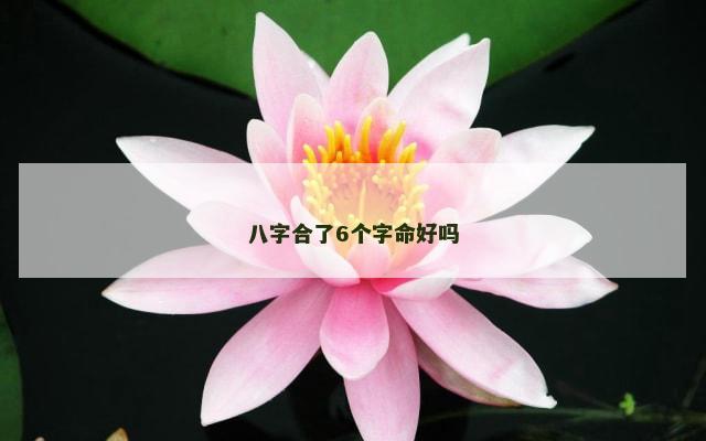 八字合了6个字命好吗