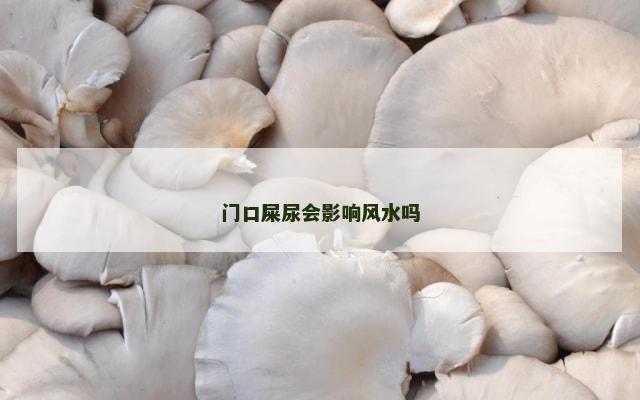 门口屎尿会影响风水吗
