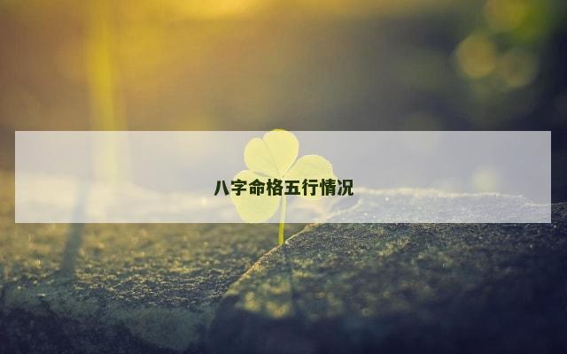 八字命格五行情况