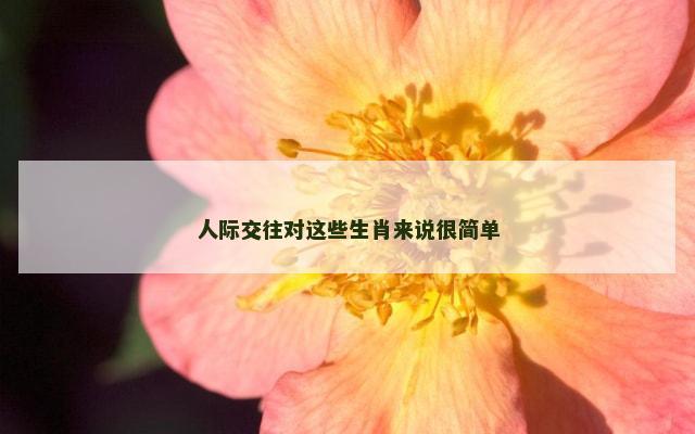 人际交往对这些生肖来说很简单