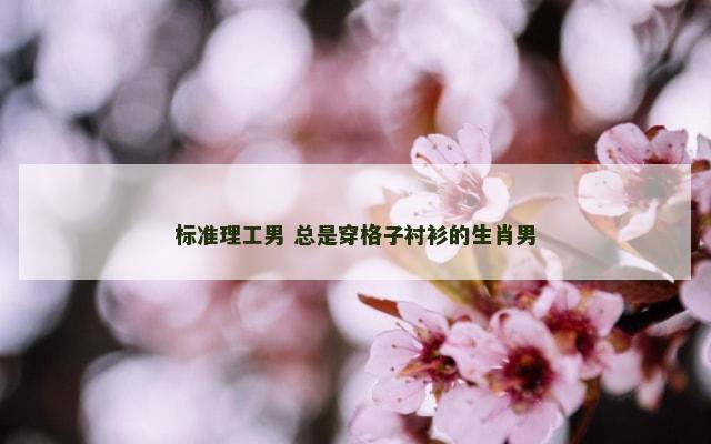 标准理工男 总是穿格子衬衫的生肖男