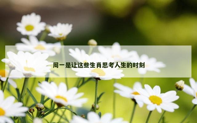 周一是让这些生肖思考人生的时刻