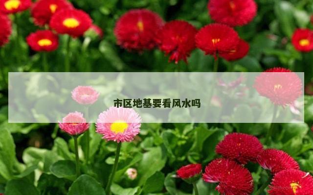 市区地基要看风水吗