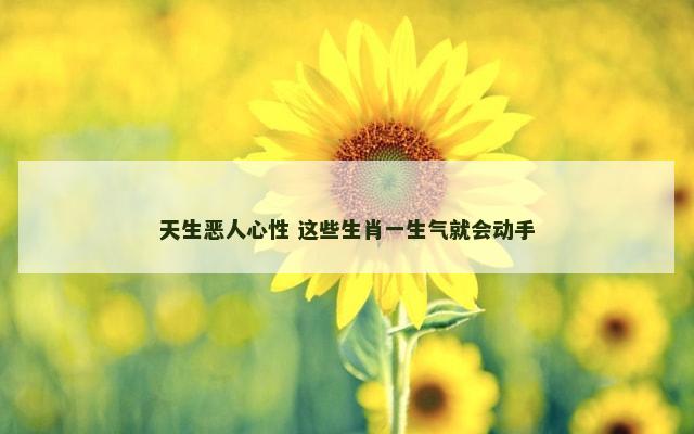 天生恶人心性 这些生肖一生气就会动手