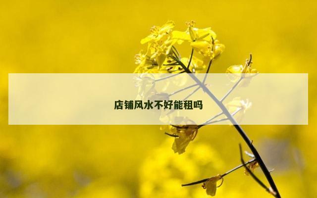 店铺风水不好能租吗