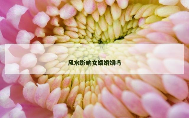 风水影响女婿婚姻吗