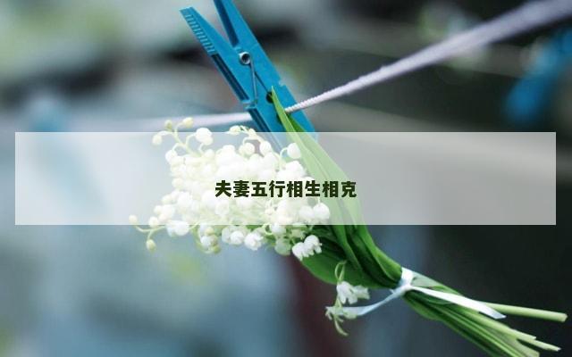 夫妻五行相生相克