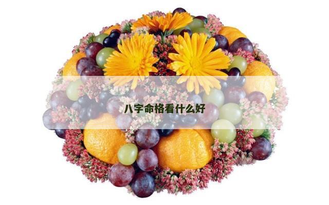 八字命格看什么好