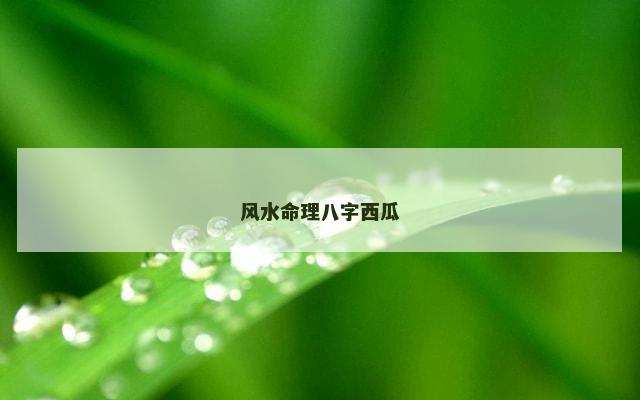 风水命理八字西瓜