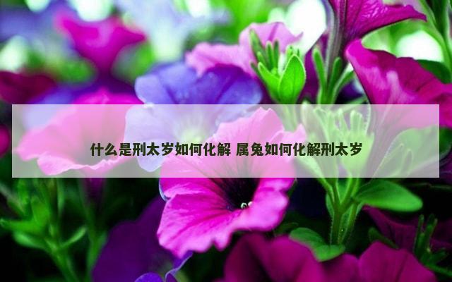 什么是刑太岁如何化解 属兔如何化解刑太岁