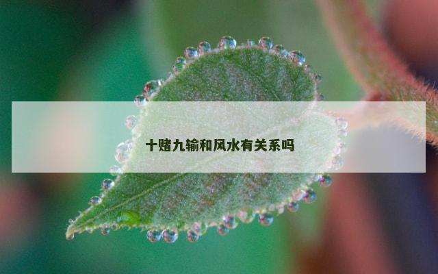 十赌九输和风水有关系吗