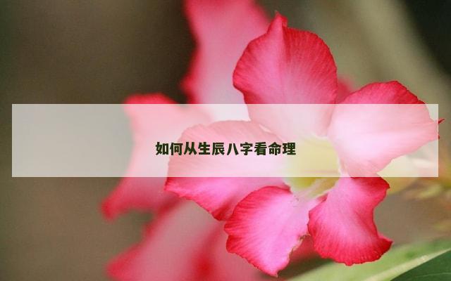 如何从生辰八字看命理