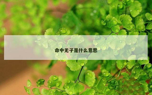 命中无子是什么意思