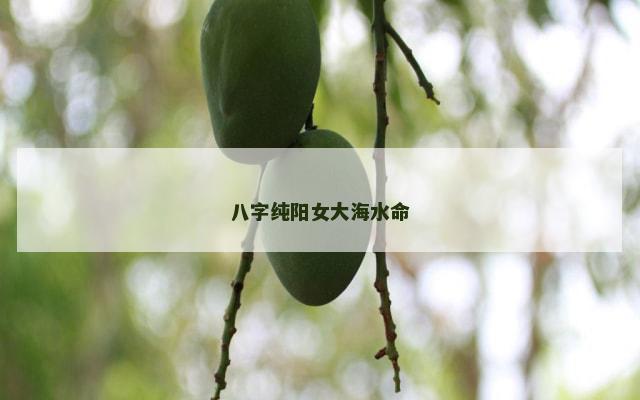 八字纯阳女大海水命