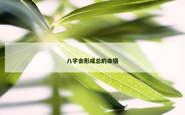 八字会形成总的命格