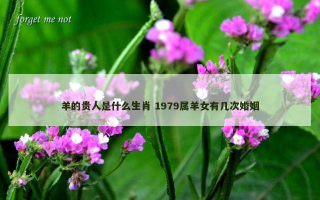 羊的贵人是什么生肖 1979属羊女有几次婚姻