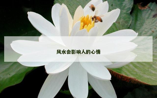 风水会影响人的心情