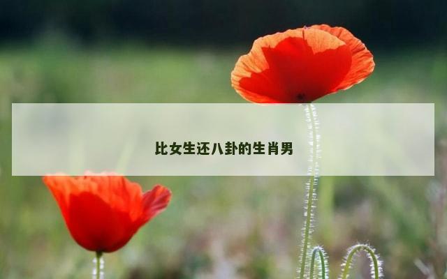 比女生还八卦的生肖男