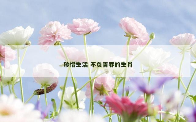 珍惜生活 不负青春的生肖