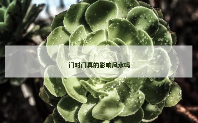 门对门真的影响风水吗