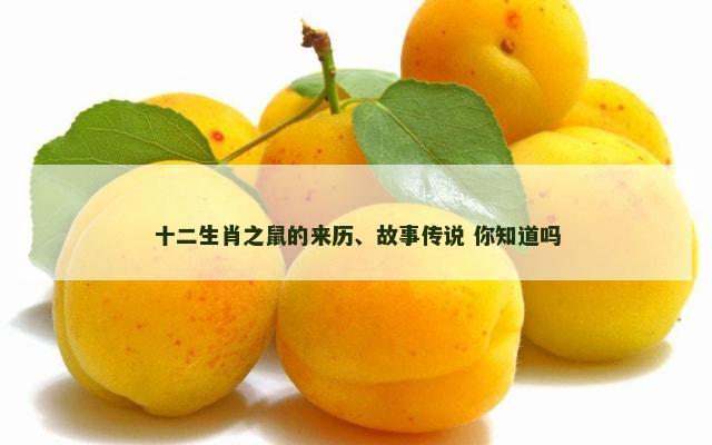 十二生肖之鼠的来历、故事传说 你知道吗