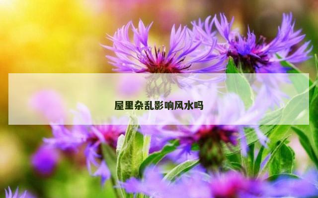 屋里杂乱影响风水吗