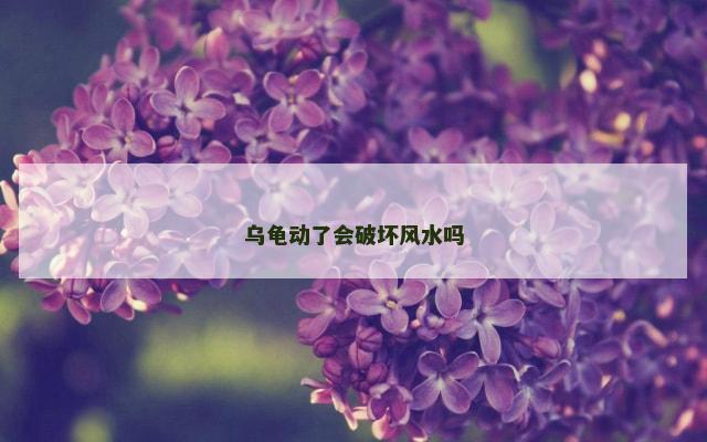 乌龟动了会破坏风水吗