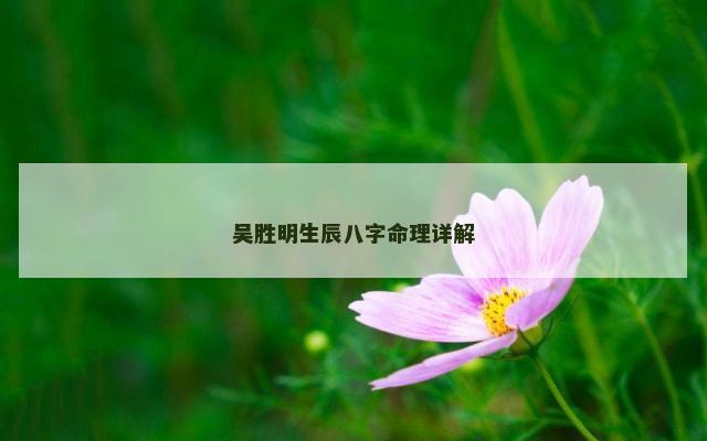 吴胜明生辰八字命理详解