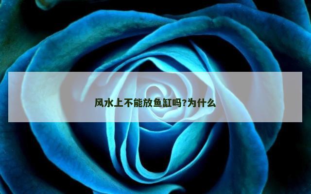 风水上不能放鱼缸吗?为什么