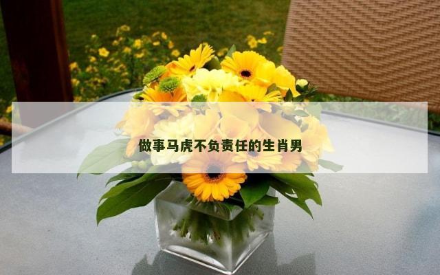 做事马虎不负责任的生肖男