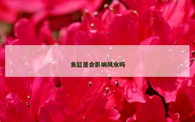 鱼缸是会影响风水吗
