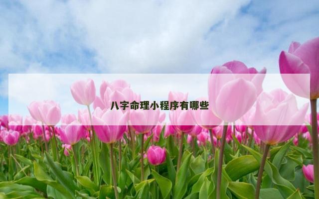 八字命理小程序有哪些