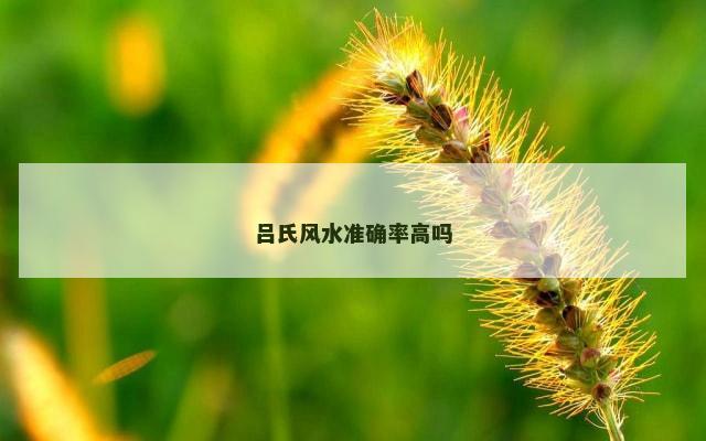 吕氏风水准确率高吗